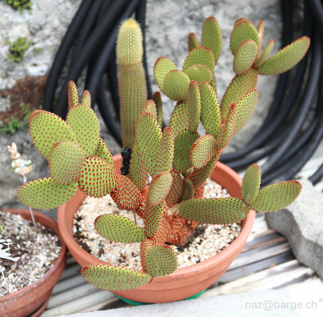 EOS 5D Mark II24_06_20122093.JPG